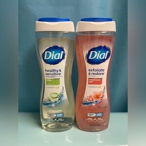Dial Body Wash 16 fl oz (2 Pack ~ Aloe and Himalayan Salt)